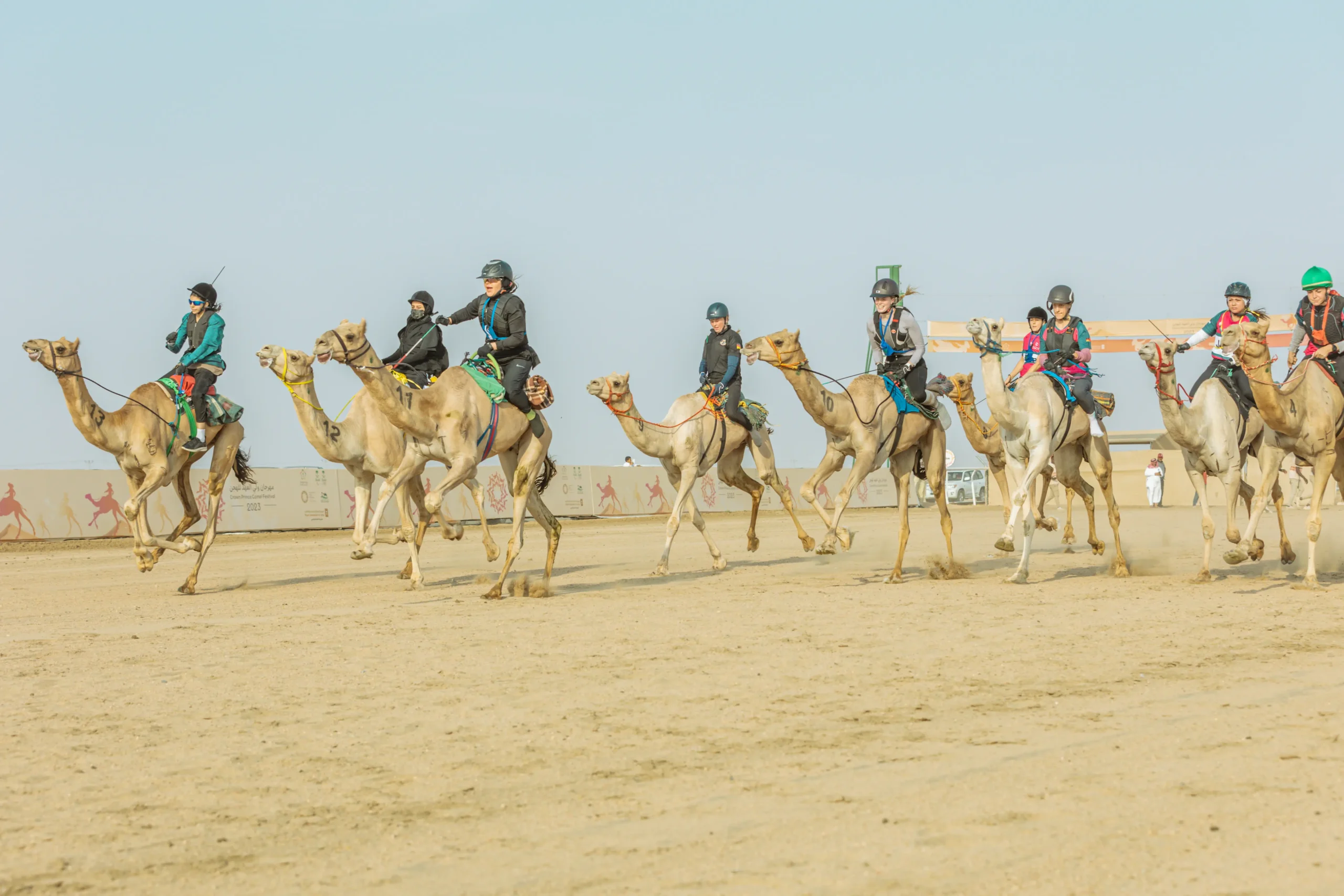 You are currently viewing The first World Championship for International Camel Endurance