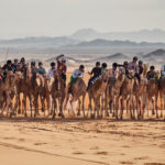 Camel-Cup-Day-1-Alula-Moments-14-03-23-MM-_6MM6905