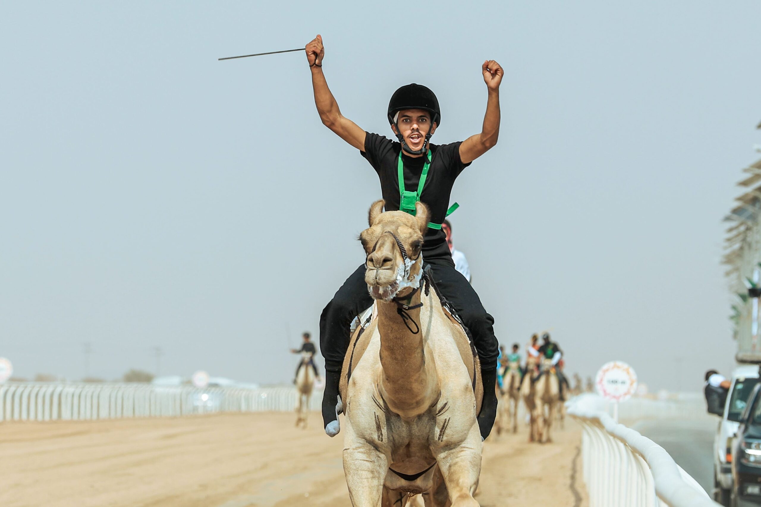 Custodian of the Two Holy Mosques Camel Festival - مهرجان خادم الحرمين الشريفين للهجن