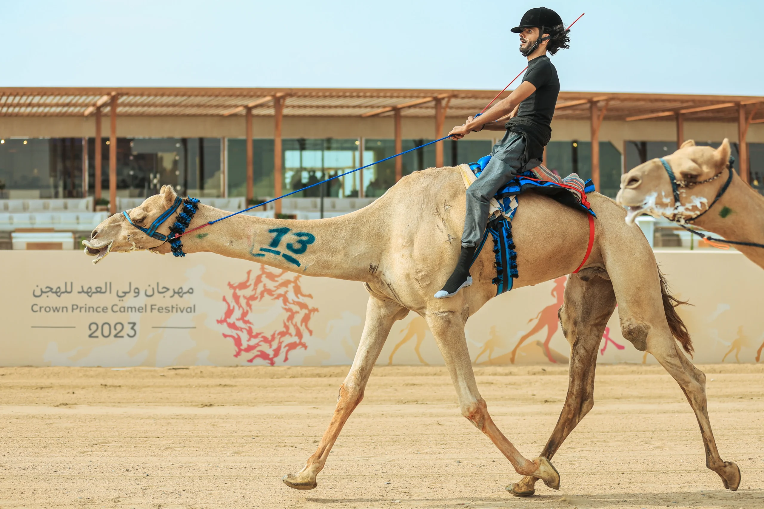 His Highness the Crown Prince of Dubai Festival - مهرجان سمو ولي عهد دبي