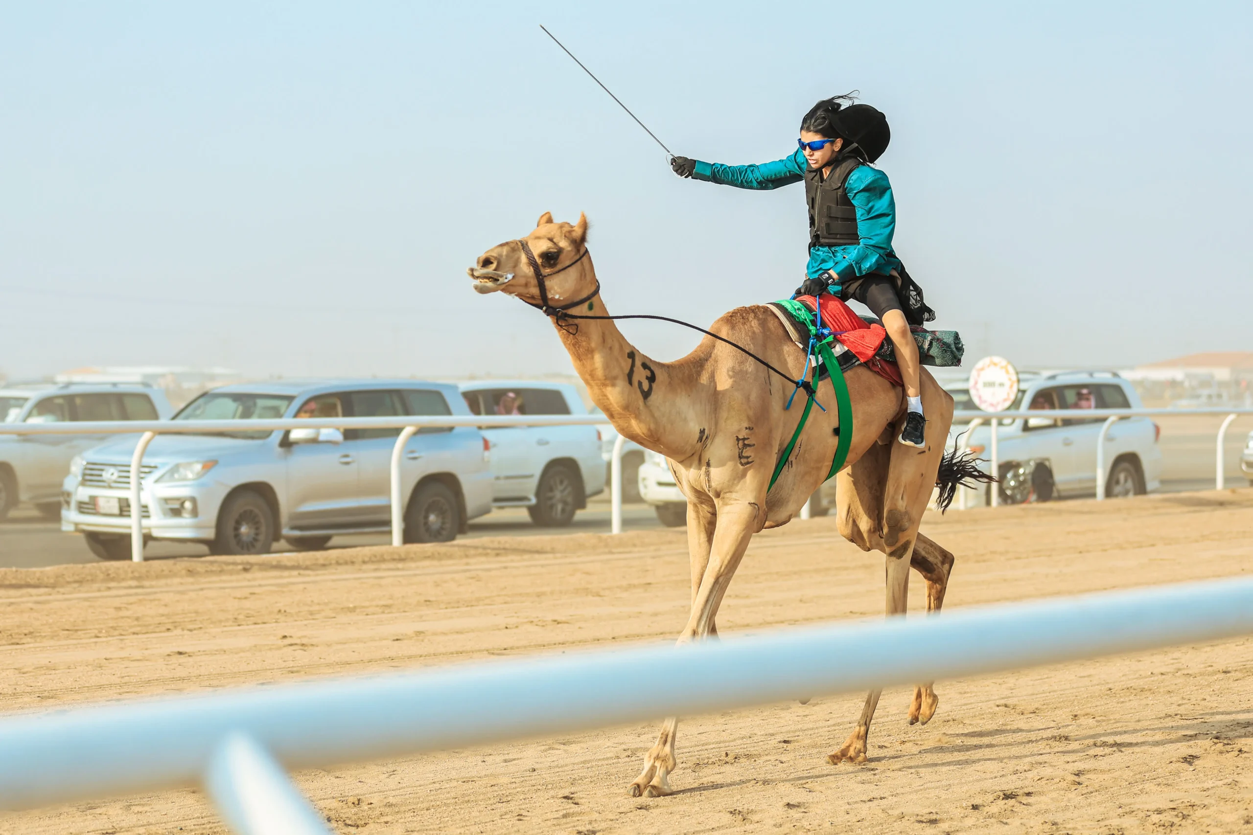 His Highness Sheikh Mohammed bin Zayed Al Nahyan Festival for purebred Arabian camel racing - مهرجان صاحب السمو الشيخ محمد بن زايد آل نهيان لسباقات الهجن العربية الأصيلة