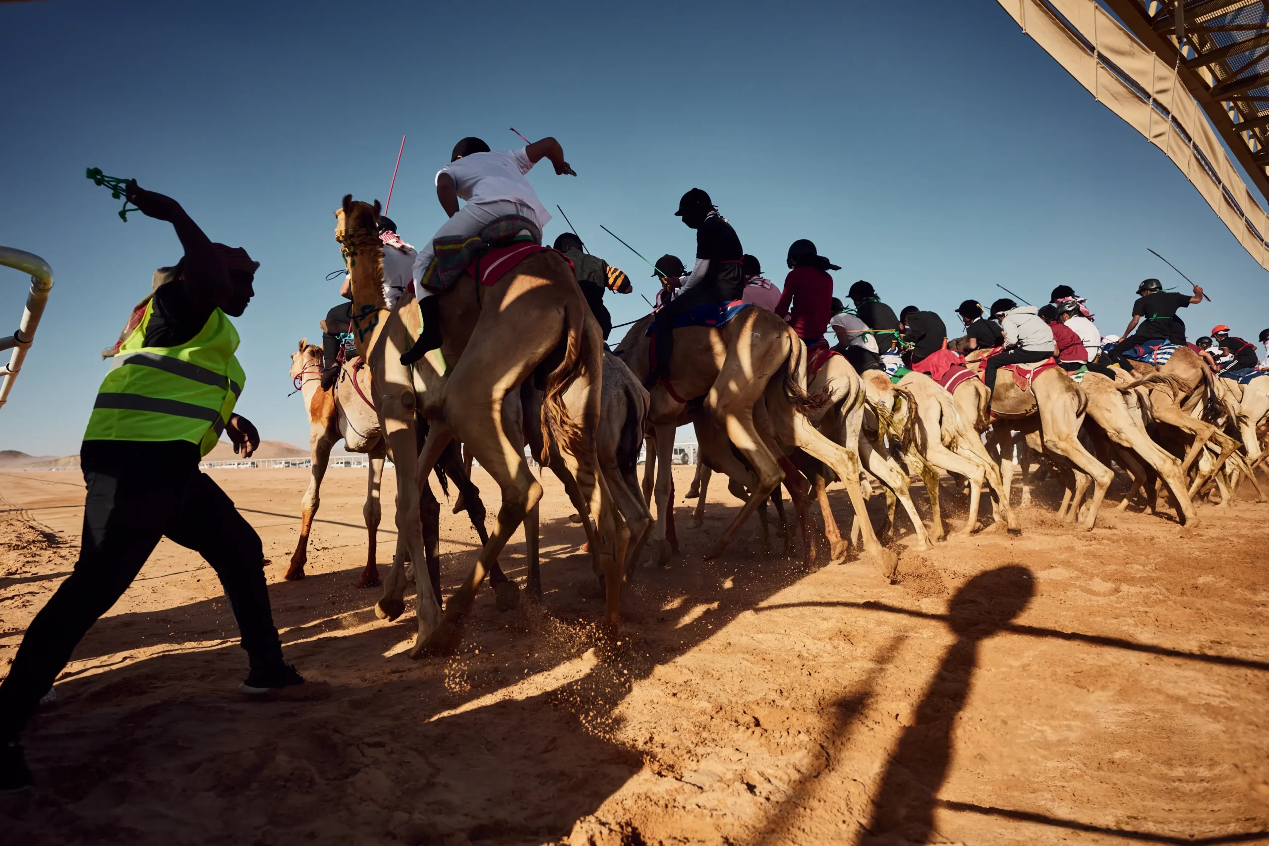 Camel Festival in Sharm El Sheikh - مهرجان الهجن بمدينة شرم الشيخ