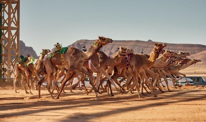 Read more about the article Olympia in Greece to Host 4th International Camel Racing Federation General Assembly